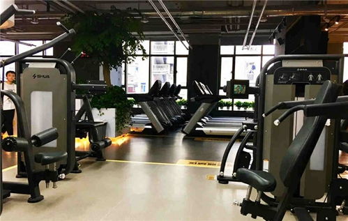 戶外健身器材 襄陽(yáng)舒揚(yáng)文體用品公司 圖